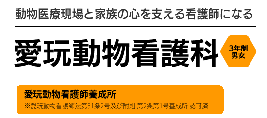 情報社会を切り拓くITエンジニアになる　情報ビジネス学科 2年生男女