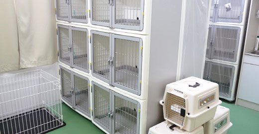 犬舎