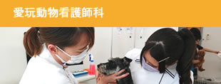 ペットビジネス科　動物看護コース