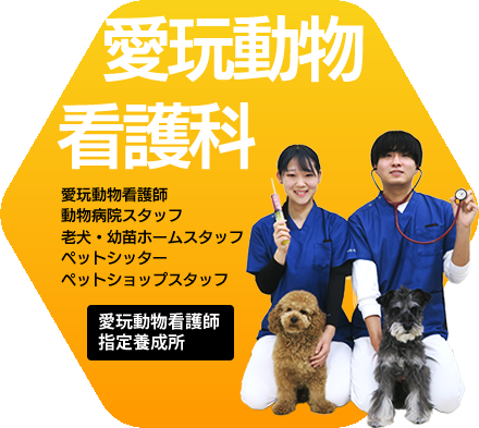 ペットビジネス科科動物看護コース
