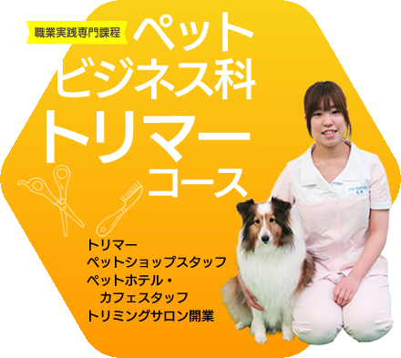 ペットビジネス科トリマーコース
