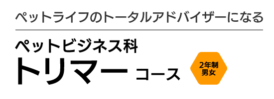 情報社会を切り拓くITエンジニアになる　情報ビジネス学科 2年生男女