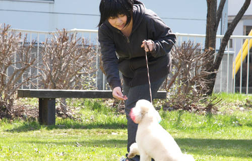 動物看護実習