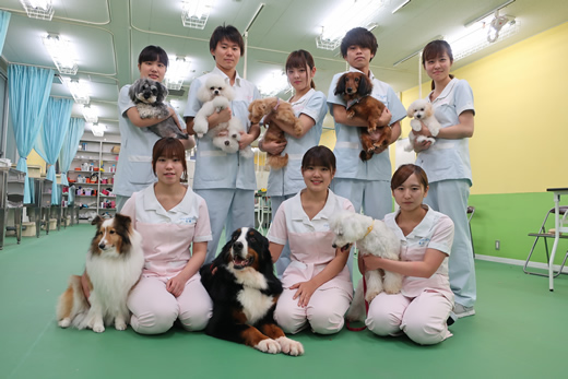 様々な犬種にふれあいます。