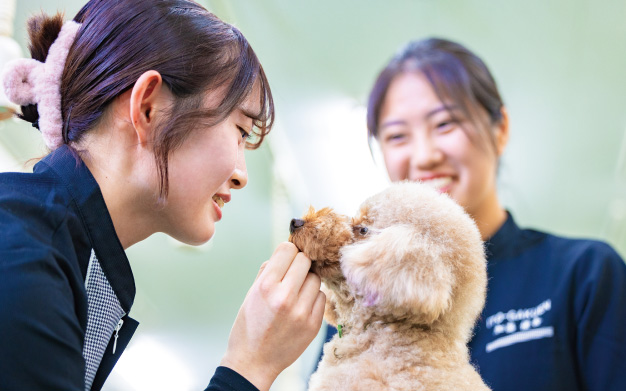 現場と同様の環境での美容実習