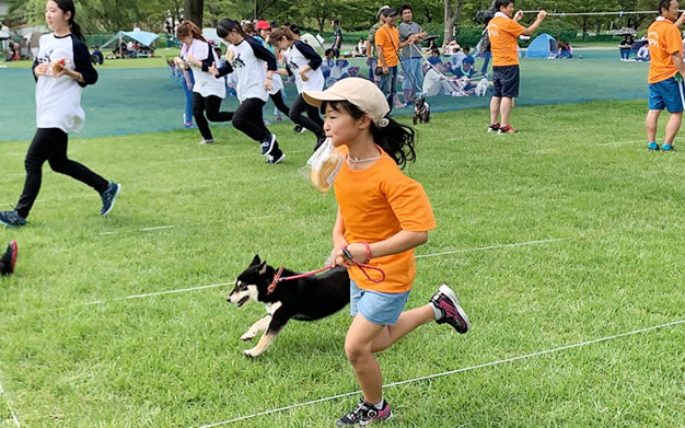 わんちゃん大運動会