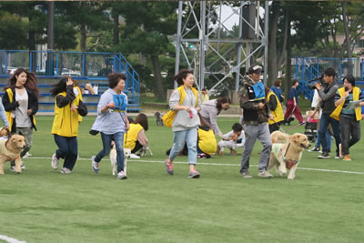 ペット大運動会