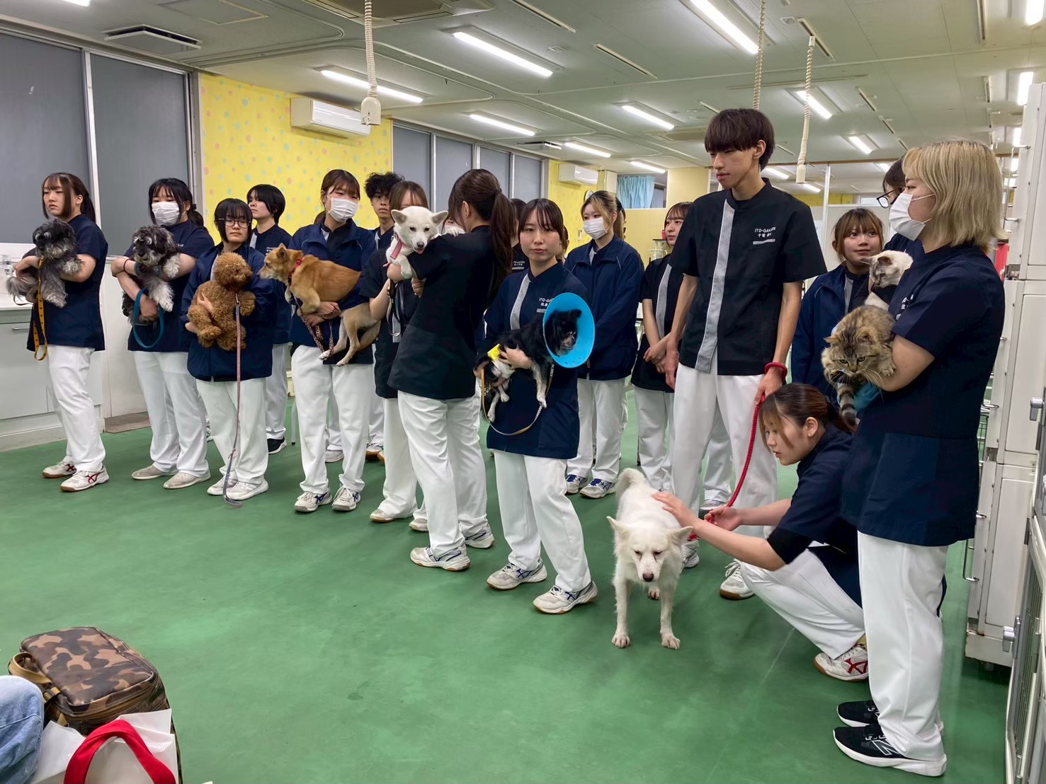 愛玩動物看護科 ｜秋田情報ビジネス専門学校｜学校法人伊藤学園